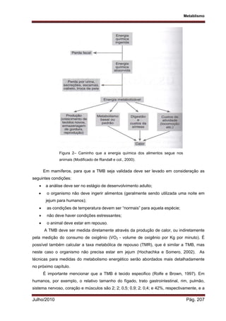 Metablismo
Julho/2010 Pág. 207
Figura 2– Caminho que a energia química dos alimentos segue nos
animais (Modificado de Randall e col., 2000).
Em mamíferos, para que a TMB seja validada deve ser levado em consideração as
seguintes condições:
 a análise deve ser no estágio de desenvolvimento adulto;
 o organismo não deve ingerir alimentos (geralmente sendo utilizada uma noite em
jejum para humanos);
 as condições de temperatura devem ser “normais” para aquela espécie;
 não deve haver condições estressantes;
 o animal deve estar em repouso.
A TMB deve ser medida diretamente através da produção de calor, ou indiretamente
pela medição do consumo de oxigênio (VO2 - volume de oxigênio por Kg por minuto). É
possível também calcular a taxa metabólica de repouso (TMR), que é similar a TMB, mas
neste caso o organismo não precisa estar em jejum (Hochachka e Somero, 2002). As
técnicas para medidas do metabolismo energético serão abordados mais detalhadamente
no próximo capítulo.
É importante mencionar que a TMB é tecido especifico (Rolfe e Brown, 1997). Em
humanos, por exemplo, o relativo tamanho do fígado, trato gastrointestinal, rim, pulmão,
sistema nervoso, coração e músculos são 2; 2; 0,5; 0,9; 2; 0,4; e 42%, respectivamente, e a
 