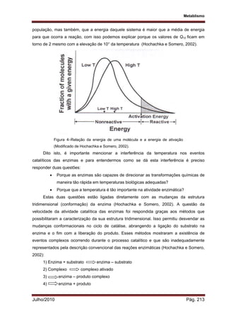 Metablismo
Julho/2010 Pág. 213
população, mas também, que a energia daquele sistema é maior que a média de energia
para que ocorra a reação, com isso podemos explicar porque os valores de Q10 ficam em
torno de 2 mesmo com a elevação de 10° da temperatura (Hochachka e Somero, 2002).
Figura 4–Relação da energia de uma molécula e a energia de ativação
(Modificado de Hochachka e Somero, 2002).
Dito isto, é importante mencionar a interferência da temperatura nos eventos
catalíticos das enzimas e para entendermos como se dá esta interferência é preciso
responder duas questões:
 Porque as enzimas são capazes de direcionar as transformações químicas de
maneira tão rápida em temperaturas biológicas adequadas?
 Porque que a temperatura é tão importante na atividade enzimática?
Estas duas questões estão ligadas diretamente com as mudanças da estrutura
tridimensional (conformação) da enzima (Hochachka e Somero, 2002). A questão da
velocidade da atividade catalítica das enzimas foi respondida graças aos métodos que
possibilitaram a caracterização da sua estrutura tridimensional. Isso permitiu desvendar as
mudanças conformacionais no ciclo de catálise, abrangendo a ligação do substrato na
enzima e o fim com a liberação do produto. Esses métodos mostraram a existência de
eventos complexos ocorrendo durante o processo catalítico e que são inadequadamente
representados pela descrição convencional das reações enzimáticas (Hochachka e Somero,
2002):
1) Enzima + substrato enzima – substrato
2) Complexo complexo ativado
3) enzima – produto complexo
4) enzima + produto
 