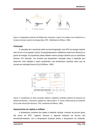 Metablismo
Julho/2010 Pág. 239
Figura 3- Adaptações posturais da libélula para maximizar o ganho de energia (i) por heliotermia ou
(ii) para minimizar o ganho de energia (May,1976 – Modificado de Withers, 1992).
Coloração
A coloração tem importante efeito na termorregulação, pois 50% da energia radiante
vêm do sol e é no espectro visível. Conseqüentemente a refletância visual (cor) influencia no
ganho de energia. As superfícies pretas refletem menos energia radiante que as superfícies
brancas. Por exemplo, nos animais que apresentam coloração preta é esperado que
absorvam mais radiação e assim apresentem uma temperatura corpórea maior que os
animais de coloração branca (Fig.4) (Withers, 1992).
Figura 4- Temperatura no tórax (símbolos sólidos) e abdômen (símbolos abertos) de besouros do
deserto da Namíbia – Onymacris rugatipennis (élitra preta) e O. brincki ( élitra branca) em ambiente
de luz solar natural (De Henwood, 1975, modificado de Withers, 1992).
Aquecimento em répteis e anfíbios
A temperatura corpórea dos repteis é bastante variável, variando de poucos graus
até acima de 400
C. Lagartos noturnos e algumas espécies de diurnos são
termoconformadores, com a temperatura corpórea similar a temperatura do ambiente.
 