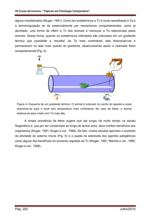 VII Curso de Inverno: “Tópicos em Fisiologia Comparativa”
Pág. 252 Julho/2010
alguns invertebrados (Kluger, 1991). Como em ectotérmicos a Tc é muito semelhante à Ta e
a termorregulação se dá essencialmente por mecanismos comportamentais, como já
abordado, uma forma de inferir a Tc dos animais é mensurar a Ta selecionada pelos
animais. Dessa forma, quando os ectotérmicos infectados são colocados em um gradiente
térmico que possibilite a “escolha” da Ta mais confortável, eles direcionam-se e
permanecem no lado mais quente do gradiente, desenvolvendo assim a chamada febre
comportamental (Fig. 4).
A ampla ocorrência da febre sugere que ela surgiu há muito tempo na escala
filogenética e, que por ser conservada ao longo de tantos anos, deve conferir benefícios aos
organismos (Kluger, 1991; Kluger e col., 1998). De fato, muitos estudos apontam o aumento
da atividade do sistema imune (Fig. 5) e a queda na sobrevida dos agentes patogênicos
como alguns dos benefícios do aumento regulado da Tc (Kluger, 1991; Marnila e col., 1995;
Kluger e col., 1998).
Figura 4- Esquema de um gradiente térmico. O animal é colocado no centro do aparato e pode
direcionar-se para o local com temperatura mais confortável. No caso da febre, o animal
desloca-se para o lado com Ta mais alta.
 