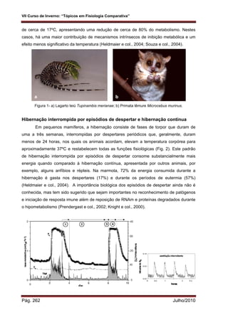 VII Curso de Inverno: “Tópicos em Fisiologia Comparativa”
Pág. 262 Julho/2010
de cerca de 17ºC, apresentando uma redução de cerca de 80% do metabolismo. Nestes
casos, há uma maior contribuição de mecanismos intrínsecos de inibição metabólica e um
efeito menos significativo da temperatura (Heldmaier e col., 2004; Souza e col., 2004).
Figura 1- a) Lagarto teiú Tupinambis merianae; b) Primata lêmure Microcebus murinus.
Hibernação interrompida por episódios de despertar e hibernação contínua
Em pequenos mamíferos, a hibernação consiste de fases de torpor que duram de
uma a três semanas, interrompidas por despertares periódicos que, geralmente, duram
menos de 24 horas, nos quais os animais acordam, elevam a temperatura corpórea para
aproximadamente 37ºC e restabelecem todas as funções fisiológicas (Fig. 2). Este padrão
de hibernação interrompida por episódios de despertar consome substancialmente mais
energia quando comparado à hibernação contínua, apresentada por outros animais, por
exemplo, alguns anfíbios e répteis. Na marmota, 72% da energia consumida durante a
hibernação é gasta nos despertares (17%) e durante os períodos de eutermia (57%)
(Heldmaier e col., 2004). A importância biológica dos episódios de despertar ainda não é
conhecida, mas tem sido sugerido que sejam importantes no reconhecimento de patógenos
e iniciação de resposta imune além de reposição de RNAm e proteínas degradados durante
o hipometabolismo (Prendergast e col., 2002; Knight e col., 2000).
a b
 