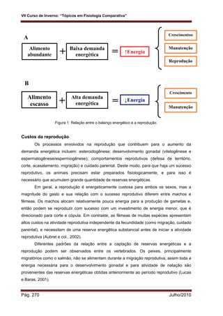 VII Curso de Inverno: “Tópicos em Fisiologia Comparativa”
Pág. 270 Julho/2010
Figura 1: Relação entre o balanço energético e a reprodução.
Custos da reprodução
Os processos envolvidos na reprodução que contribuem para o aumento da
demanda energética incluem: esteroidogênese; desenvolvimento gonadal (vitelogênese e
espermatogênese/espermiogênese); comportamentos reprodutivos (defesa de território,
corte, acasalamento, migração) e cuidado parental. Deste modo, para que haja um sucesso
reprodutivo, os animais precisam estar preparados fisiologicamente, e para isso é
necessário que acumulem grande quantidade de reservas energéticas.
Em geral, a reprodução é energeticamente custosa para ambos os sexos, mas a
magnitude do gasto e sua relação com o sucesso reprodutivo diferem entre machos e
fêmeas. Os machos alocam relativamente pouca energia para a produção de gametas e,
então podem se reproduzir com sucesso com um investimento de energia menor, que é
direcionado para corte e cópula. Em contraste, as fêmeas de muitas espécies apresentam
altos custos na atividade reprodutiva independente da fecundidade (como migração, cuidado
parental), e necessitam de uma reserva energética substancial antes de iniciar a atividade
reprodutiva (Aubret e col., 2002).
Diferentes padrões da relação entre a captação de reservas energéticas e a
reprodução podem ser observados entre os vertebrados. Os peixes, principalmente
migratórios como o salmão, não se alimentam durante a migração reprodutiva, assim toda a
energia necessária para o desenvolvimento gonadal e para atividade de natação são
provenientes das reservas energéticas obtidas anteriormente ao período reprodutivo (Lucas
e Baras, 2001).
+Alimento
abundante
Baixa demanda
energética
↑Energia=
Crescimentoo
Manutenção
Reprodução
+Alimento
escasso
Alta demanda
energética = ↓Energia
Crescimento
Manutenção
A
B
 