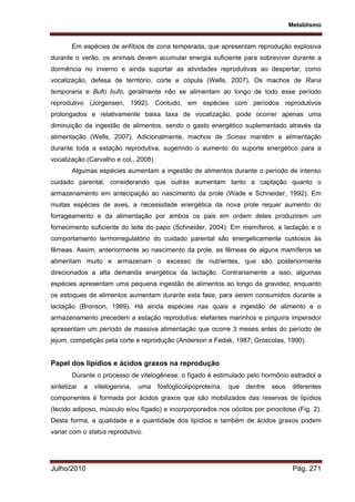 Metablismo
Julho/2010 Pág. 271
Em espécies de anfíbios de zona temperada, que apresentam reprodução explosiva
durante o verão, os animais devem acumular energia suficiente para sobreviver durante a
dormência no inverno e ainda suportar as atividades reprodutivas ao despertar, como
vocalização, defesa de território, corte e cópula (Wells, 2007). Os machos de Rana
temporaria e Bufo bufo, geralmente não se alimentam ao longo de todo esse período
reprodutivo (Jorgensen, 1992). Contudo, em espécies com períodos reprodutivos
prolongados e relativamente baixa taxa de vocalização, pode ocorrer apenas uma
diminuição da ingestão de alimentos, sendo o gasto energético suplementado através da
alimentação (Wells, 2007). Adicionalmente, machos de Scinax mantêm a alimentação
durante toda a estação reprodutiva, sugerindo o aumento do suporte energético para a
vocalização (Carvalho e col., 2008).
Algumas espécies aumentam a ingestão de alimentos durante o período de intenso
cuidado parental, considerando que outras aumentam tanto a captação quanto o
armazenamento em antecipação ao nascimento da prole (Wade e Schneider, 1992). Em
muitas espécies de aves, a necessidade energética da nova prole requer aumento do
forrageamento e da alimentação por ambos os pais em ordem deles produzirem um
fornecimento suficiente do leite do papo (Schneider, 2004). Em mamíferos, a lactação e o
comportamento termorregulatório do cuidado parental são energeticamente custosos às
fêmeas. Assim, anteriormente ao nascimento da prole, as fêmeas de alguns mamíferos se
alimentam muito e armazenam o excesso de nutrientes, que são posteriormente
direcionados a alta demanda energética da lactação. Contrariamente a isso, algumas
espécies apresentam uma pequena ingestão de alimentos ao longo da gravidez, enquanto
os estoques de alimentos aumentam durante esta fase, para serem consumidos durante a
lactação (Bronson, 1989). Há ainda espécies nas quais a ingestão de alimento e o
armazenamento precedem a estação reprodutiva: elefantes marinhos e pinguins imperador
apresentam um período de massiva alimentação que ocorre 3 meses antes do período de
jejum, competição pela corte e reprodução (Anderson e Fedak, 1987; Groscolas, 1990).
Papel dos lipídios e ácidos graxos na reprodução
Durante o processo de vitelogênese, o fígado é estimulado pelo hormônio estradiol a
sintetizar a vitelogenina, uma fosfoglicolipoproteína, que dentre seus diferentes
componentes é formada por ácidos graxos que são mobilizados das reservas de lipídios
(tecido adiposo, músculo e/ou fígado) e incorporporados nos oócitos por pinocitose (Fig. 2).
Desta forma, a qualidade e a quantidade dos lipídios e também de ácidos graxos podem
variar com o status reprodutivo.
 