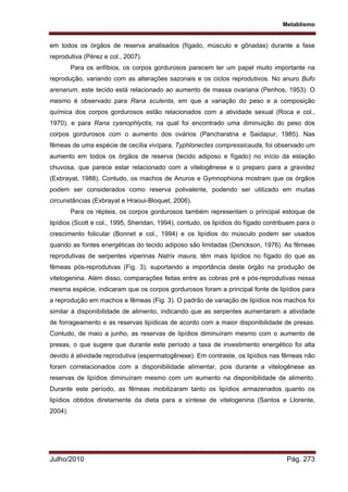 Metablismo
Julho/2010 Pág. 273
em todos os órgãos de reserva analisados (fígado, músculo e gônadas) durante a fase
reprodutiva (Pérez e col., 2007).
Para os anfíbios, os corpos gordurosos parecem ter um papel muito importante na
reprodução, variando com as alterações sazonais e os ciclos reprodutivos. No anuro Bufo
arenarum, este tecido está relacionado ao aumento de massa ovariana (Penhos, 1953). O
mesmo é observado para Rana sculenta, em que a variação do peso e a composição
química dos corpos gordurosos estão relacionados com a atividade sexual (Roca e col.,
1970), e para Rana cyanophlyctis, na qual foi encontrado uma diminuição do peso dos
corpos gordurosos com o aumento dos ovários (Pancharatna e Saidapur, 1985). Nas
fêmeas de uma espécie de cecília vivípara, Typhlonectes compressicauda, foi observado um
aumento em todos os órgãos de reserva (tecido adiposo e fígado) no início da estação
chuvosa, que parece estar relacionado com a vitelogênese e o preparo para a gravidez
(Exbrayat, 1988). Contudo, os machos de Anuros e Gymnophiona mostram que os órgãos
podem ser considerados como reserva polivalente, podendo ser utilizado em muitas
circunstâncias (Exbrayat e Hraoui-Bloquet, 2006).
Para os répteis, os corpos gordurosos também representam o principal estoque de
lipídios (Scott e col., 1995, Sheridan, 1994), contudo, os lipídios do fígado contribuem para o
crescimento folicular (Bonnet e col., 1994) e os lipídios do músculo podem ser usados
quando as fontes energéticas do tecido adiposo são limitadas (Derickson, 1976). As fêmeas
reprodutivas de serpentes viperinas Natrix maura, têm mais lipídios no fígado do que as
fêmeas pós-reprodutvas (Fig. 3), suportando a importância deste órgão na produção de
vitelogenina. Além disso, comparações feitas entre as cobras pré e pós-reprodutivas nessa
mesma espécie, indicaram que os corpos gordurosos foram a principal fonte de lipídios para
a reprodução em machos e fêmeas (Fig. 3). O padrão de variação de lipídios nos machos foi
similar à disponibilidade de alimento, indicando que as serpentes aumentaram a atividade
de forrageamento e as reservas lipídicas de acordo com a maior disponibilidade de presas.
Contudo, de maio a junho, as reservas de lipídios diminuíram mesmo com o aumento de
presas, o que sugere que durante este período a taxa de investimento energético foi alta
devido à atividade reprodutiva (espermatogênese). Em contraste, os lipídios nas fêmeas não
foram correlacionados com a disponibilidade alimentar, pois durante a vitelogênese as
reservas de lipídios diminuíram mesmo com um aumento na disponibilidade de alimento.
Durante este período, as fêmeas mobilizaram tanto os lipídios armazenados quanto os
lipídios obtidos diretamente da dieta para a síntese de vitelogenina (Santos e Llorente,
2004).
 