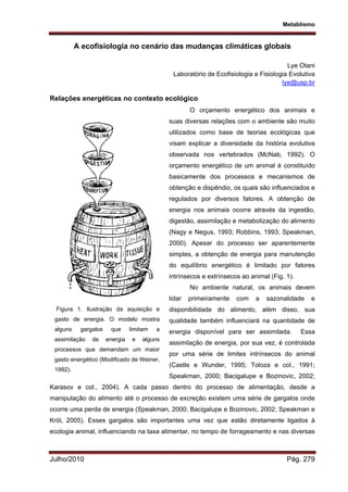 Metablismo
Julho/2010 Pág. 279
A ecofisiologia no cenário das mudanças climáticas globais
Lye Otani
Laboratório de Ecofisiologia e Fisiologia Evolutiva
lye@usp.br
Relações energéticas no contexto ecológico
O orçamento energético dos animais e
suas diversas relações com o ambiente são muito
utilizados como base de teorias ecológicas que
visam explicar a diversidade da história evolutiva
observada nos vertebrados (McNab, 1992). O
orçamento energético de um animal é constituído
basicamente dos processos e mecanismos de
obtenção e dispêndio, os quais são influenciados e
regulados por diversos fatores. A obtenção de
energia nos animais ocorre através da ingestão,
digestão, assimilação e metabolização do alimento
(Nagy e Negus, 1993; Robbins, 1993; Speakman,
2000). Apesar do processo ser aparentemente
simples, a obtenção de energia para manutenção
do equilíbrio energético é limitado por fatores
intrínsecos e extrínsecos ao animal (Fig. 1).
No ambiente natural, os animais devem
lidar primeiramente com a sazonalidade e
disponibilidade do alimento, além disso, sua
qualidade também influenciará na quantidade de
energia disponível para ser assimilada. Essa
assimilação de energia, por sua vez, é controlada
por uma série de limites intrínsecos do animal
(Castle e Wunder, 1995; Toloza e col., 1991;
Speakman, 2000; Bacigalupe e Bozinovic, 2002;
Karasov e col., 2004). A cada passo dentro do processo de alimentação, desde a
manipulação do alimento até o processo de excreção existem uma série de gargalos onde
ocorre uma perda de energia (Speakman, 2000; Bacigalupe e Bozinovic, 2002; Speakman e
Król, 2005). Esses gargalos são importantes uma vez que estão diretamente ligados à
ecologia animal, influenciando na taxa alimentar, no tempo de forrageamento e nas diversas
Figura 1. Ilustração da aquisição e
gasto de energia. O modelo mostra
alguns gargalos que limitam a
assimilação de energia e alguns
processos que demandam um maior
gasto energético (Modificado de Weiner,
1992).
 
