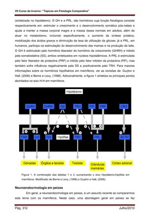 VII Curso de Inverno: “Tópicos em Fisiologia Comparativa”
Pág. 312 Julho/2010
(sintetizado no hipotálamo). O GH e a PRL, são hormônios cuja função fisiológica consiste
respectivamente em: estimular o crescimento e o desenvolvimento somático pós-natais e
ajuda a manter a massa corporal magra e a massa óssea normais em adultos, além de
atuar no metabolismo, incluindo especificamente, o aumento da síntese protéica,
mobilização dos ácidos graxos e diminuição da taxa de utilização da glicose; já a PRL, em
humanos, participa na estimulação do desenvolvimento das mamas e na produção de leite.
O GH é estimulado pelo hormônio liberador do hormônio de crescimento (GHRH) e inibido
pela somatostatina (SS), ambos sintetizados em núcleos hipotalâmicos. A PRL é estimulada
pelo fator liberador de prolactina (PRF) e inibido pelo fator inibidor da prolactina (PIF), mas
também sofre influência negativamente pela SS e positivamente pelo TRH. Para maiores
informações sobre os hormônios hipofisários em mamíferos, ver as revisões de: Guyton e
Hall, (2006) e Berne e Levy, (1998). Adicionalmente, a figura 1 sintetiza os principais pontos
abordados no eixo H-H em mamíferos.
Neuroendocrinologia em peixes
Em geral, a neuroendocrinologia em peixes, é um assunto recente se compararmos
este tema com os mamíferos. Neste caso, uma abordagem geral em peixes se faz
Figura 1. A combinação das tabelas 1 e 3, sumarizando o eixo hipotálamo-hipófise em
mamíferos. Modificado de Berne e Levy, (1998) e Guyton e Hall, (2006).
 
