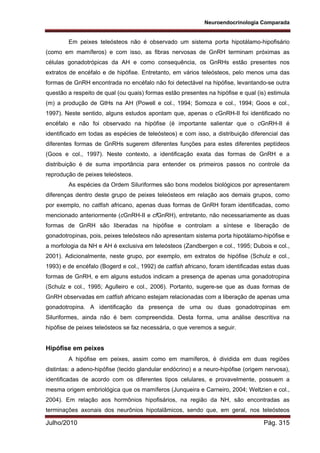 Neuroendocrinologia Comparada
Julho/2010 Pág. 315
Em peixes teleósteos não é observado um sistema porta hipotálamo-hipofisário
(como em mamíferos) e com isso, as fibras nervosas de GnRH terminam próximas as
células gonadotrópicas da AH e como consequência, os GnRHs estão presentes nos
extratos de encéfalo e de hipófise. Entretanto, em vários teleósteos, pelo menos uma das
formas de GnRH encontrada no encéfalo não foi detectável na hipófise, levantando-se outra
questão a respeito de qual (ou quais) formas estão presentes na hipófise e qual (is) estimula
(m) a produção de GtHs na AH (Powell e col., 1994; Somoza e col., 1994; Goos e col.,
1997). Neste sentido, alguns estudos apontam que, apenas o cGnRH-II foi identificado no
encéfalo e não foi observado na hipófise (é importante salientar que o cGnRH-II é
identificado em todas as espécies de teleósteos) e com isso, a distribuição diferencial das
diferentes formas de GnRHs sugerem diferentes funções para estes diferentes peptídeos
(Goos e col., 1997). Neste contexto, a identificação exata das formas de GnRH e a
distribuição é de suma importância para entender os primeiros passos no controle da
reprodução de peixes teleósteos.
As espécies da Ordem Siluriformes são bons modelos biológicos por apresentarem
diferenças dentro deste grupo de peixes teleósteos em relação aos demais grupos, como
por exemplo, no catfish africano, apenas duas formas de GnRH foram identificadas, como
mencionado anteriormente (cGnRH-II e cfGnRH), entretanto, não necessariamente as duas
formas de GnRH são liberadas na hipófise e controlam a síntese e liberação de
gonadotropinas, pois, peixes teleósteos não apresentam sistema porta hipotálamo-hipófise e
a morfologia da NH e AH é exclusiva em teleósteos (Zandbergen e col., 1995; Dubois e col.,
2001). Adicionalmente, neste grupo, por exemplo, em extratos de hipófise (Schulz e col.,
1993) e de encéfalo (Bogerd e col., 1992) de catfish africano, foram identificadas estas duas
formas de GnRH, e em alguns estudos indicam a presença de apenas uma gonadotropina
(Schulz e col., 1995; Agulleiro e col., 2006). Portanto, sugere-se que as duas formas de
GnRH observadas em catfish africano estejam relacionadas com a liberação de apenas uma
gonadotropina. A identificação da presença de uma ou duas gonadotropinas em
Siluriformes, ainda não é bem compreendida. Desta forma, uma análise descritiva na
hipófise de peixes teleósteos se faz necessária, o que veremos a seguir.
Hipófise em peixes
A hipófise em peixes, assim como em mamíferos, é dividida em duas regiões
distintas: a adeno-hipófise (tecido glandular endócrino) e a neuro-hipófise (origem nervosa),
identificadas de acordo com os diferentes tipos celulares, e provavelmente, possuem a
mesma origem embriológica que os mamíferos (Junqueira e Carneiro, 2004; Weltzien e col.,
2004). Em relação aos hormônios hipofisários, na região da NH, são encontradas as
terminações axonais dos neurônios hipotalâmicos, sendo que, em geral, nos teleósteos
 