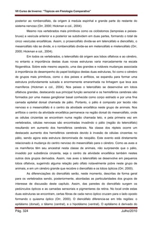 VII Curso de Inverno: “Tópicos em Fisiologia Comparativa”
Pág. 324 Julho/2010
posterior ao rombencéfalo, da origem à medula espinhal e grande parte do restante do
sistema nervoso (Orr, 2000; Hickman e col., 2004).
Mesmo nos vertebrados mais primitivos como os ciclóstomos (lampreias e peixes-
bruxa) a vesícula anterior e a posterior se subdividem em duas partes, formando o total de
cinco vesículas encefálicas. Assim, o prosencéfalo divide-se em telencéfalo e diencéfalo, o
mesencéfalo não se divide, e o rombencéfalo divide-se em metencéfalo e mielencéfalo (Orr,
2000; Hickman e col., 2004).
Em todos os vertebrados, o telencéfalo dá origem aos lobos olfativos e ao cérebro,
no entanto a importância destas duas novas estruturas varia marcadamente na escala
filogenética. Sobre este mesmo aspecto, uma das grandes e notáveis mudanças associada
à importância do desempenho do papel biológico destas duas estruturas, foi como o cérebro
de grupos mais primitivos, como o dos peixes e anfíbios, se expandiu para formar uma
estrutura profundamente sulcada e enormemente emaranhada na linhagem que leva aos
mamíferos (Hickman e col., 2004). Nos peixes o telencéfalo se desenvolve em lobos
olfativos grandes, destacando sua principal função sensorial e os hemisférios cerebrais são
formados por uma massa ganglionar basal conhecida como corpo estriado e por uma fina
camada epitelial dorsal chamada de pálio. Portanto, o pálio é composto por tecido não
nervoso e o mesencéfalo é o centro da atividade encefálica neste grupo de animais. Nos
anfíbios o centro da atividade encefálica permanece na região dorsal do mesencéfalo, onde
as células cinzentas se encontram numa região chamada teto, e pela primeira vez em
vertebrados, células nervosas são encontradas invadindo o pálio (região do telencéfalo)
resultando em aumento dos hemisférios cerebrais. Na classe dos répteis ocorre um
destacado aumento dos hemisférios cerebrais devido à invasão de células cinzentas no
pálio, sendo agora esta estrutura denominada de neopálio. Este evento está diretamente
relacionado à mudança do centro nervoso do mesencéfalo para o cérebro. Como as aves e
os mamíferos têm seu ancestral nesta classe de animais, não surpreende que o pálio,
invadido por substância cinzenta, seja o centro da atividade encefálica também nestes
outros dois grupos derivados. Assim, nas aves o telencéfalo se desenvolve em pequenos
lobos olfativos, sugerindo alguma relação pelo olfato notavelmente pobre neste grupo de
animais, e em um cérebro grande que recobre o diencéfalo e os lobos ópticos (Orr, 2000).
As diferenciações do diencéfalo serão, neste momento, descritas de forma geral
para os vertebrados sendo, posteriormente, abordadas as particularidades dos grupos de
interesse de discussão deste capítulo. Assim, das paredes do diencéfalo surgem os
pedúnculos ópticos e as camadas sensoriais e pigmentares da retina. No local onde estas
duas estruturas se encontram, certas fibras de cada nervo óptico cruzam para o lado oposto
formando o quiasma óptico (Orr, 2000). O diencéfalo diferencia-se em três regiões: o
epitálamo (dorsal), o tálamo (central), e o hipotálamo (ventral). O epitálamo é derivado do
 