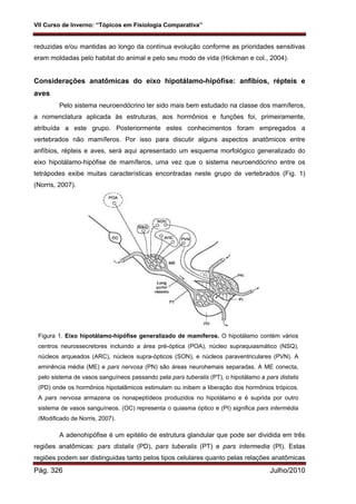VII Curso de Inverno: “Tópicos em Fisiologia Comparativa”
Pág. 326 Julho/2010
reduzidas e/ou mantidas ao longo da contínua evolução conforme as prioridades sensitivas
eram moldadas pelo habitat do animal e pelo seu modo de vida (Hickman e col., 2004).
Considerações anatômicas do eixo hipotálamo-hipófise: anfíbios, répteis e
aves
Pelo sistema neuroendócrino ter sido mais bem estudado na classe dos mamíferos,
a nomenclatura aplicada às estruturas, aos hormônios e funções foi, primeiramente,
atribuída a este grupo. Posteriormente estes conhecimentos foram empregados a
vertebrados não mamíferos. Por isso para discutir alguns aspectos anatômicos entre
anfíbios, répteis e aves, será aqui apresentado um esquema morfológico generalizado do
eixo hipotálamo-hipófise de mamíferos, uma vez que o sistema neuroendócrino entre os
tetrápodes exibe muitas características encontradas neste grupo de vertebrados (Fig. 1)
(Norris, 2007).
A adenohipófise é um epitélio de estrutura glandular que pode ser dividida em três
regiões anatômicas: pars distalis (PD), pars tuberalis (PT) e pars intermedia (PI). Estas
regiões podem ser distinguidas tanto pelos tipos celulares quanto pelas relações anatômicas
Figura 1. Eixo hipotálamo-hipófise generalizado de mamíferos. O hipotálamo contém vários
centros neurossecretores incluindo a área pré-óptica (POA), núcleo supraquiasmático (NSQ),
núcleos arqueados (ARC), núcleos supra-ópticos (SON), e núcleos paraventriculares (PVN). A
eminência média (ME) e pars nervosa (PN) são áreas neurohemais separadas. A ME conecta,
pelo sistema de vasos sanguíneos passando pela pars tuberalis (PT), o hipotálamo a pars distalis
(PD) onde os hormônios hipotalâmicos estimulam ou inibem a liberação dos hormônios trópicos.
A pars nervosa armazena os nonapeptídeos produzidos no hipotálamo e é suprida por outro
sistema de vasos sanguíneos. (OC) representa o quiasma óptico e (PI) significa pars intermédia
(Modificado de Norris, 2007).
 