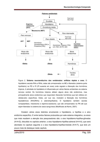 Neuroendocrinologia Comparada
Julho/2010 Pág. 329
Existem vários eixos distintos envolvendo o hipotálamo, a hipófise e o alvo
endócrino específico. E entre tantos fatores produzidos por este sistema integrativo, os eixos
que mais recebem a atenção dos pesquisadores são: o eixo hipotálamo-hipófise-gônadas
(H-H-G), discutido no capítulo anterior, o eixo hipotálamo-hipófise-adrenal (H-H-A), que será
abordado no capítulo seguinte e o eixo hipotálamo-hipófise-tireóide (H-H-T), que terá um
pouco mais de destaque neste capítulo.
Feed back
alça curta
AVT MST
Feed back
alça longa
Hormônios
Somatotrópico (GH) e
Prolactina (PRL)
Hormônio
melanotrópico
(MSH)
Hormônios Trópicos (TSH,
LH, FSH, ACTH, GH)
Arginina-
vasotocina
(AVT)
Mesotocina (MST)
Fatores ambientais
Encéfalo
Hipotálamo
Eminência média
Pars intermedia
Pars nervosa
Pars distalis
Alvos não
endócrinos
Alvos não
endócrinos
Alvos
endócrinos
Tecidos
alvos
HormôniosEfeitoEfeito
Efeito
Figura 2. Sistema neuroendócrino dos vertebrados: anfíbios répteis e aves. O
hipotálamo secreta RHs e RIHs, estes são armazenados na ME e liberados (sistema porta
hipofisário) na PD e PI (PI ausente em aves) onde regulam a liberação dos hormônios
trópicos. A atividade do hipotálamo é influenciada por vários fatores ambientais via sistema
nervoso central. Os hormônios trópicos afetam alguns alvos não endócrinos, mas
principalmente alvos endócrinos que respondem liberando hormônios que tem efeitos em
células-alvo específicas. Estes, por sua vez, modulam a liberação dos hormônios
hipotalâmicos (RHs/RIHs) e adenohipofisários. O hipotálamo também secreta
nonapeptídeos, mesotocina e arginina-vasotocina, que são armazenados na PN até que
sejam liberadas no sistema de vasos sanguíneos (Modificado de Norris, 2007).
 