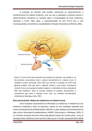 Neuroendocrinologia Comparada
Julho/2010 Pág. 343
A produção de citocinas está também relacionada ao desenvolvimento e
amadurecimento do sistema endócrino, uma vez que a exposição à citocinas durante o
desenvolvimento intrauterino ou neonatal altera a funcionalidade de eixos endócrinos,
sobretudo o H-H-A. Além disso, a superestimulação do eixo H-H-A leva a uma
imunossupressão, aumentando a suscetibilidade à infecção (Chesnokova e Melmed, 2002).
Eixo imune-pineal: efeitos da melatonina no sistema imune
Outro modulador neuroendócrino e inflamatório é a melatonina. A melatonina é uma
indolamina sintetizada a partir da serotonina, através de uma acetilação catalizada pela
enzima aril-alquilamina-N-acetiltransferase (AA-NAT) e pela metilação da N-acetilserotonina
pela enzima hidroxiindol-O-metiltransferase (HIOMT) (Simmoneaux e Ribelayga, 2003). É
um hormônio produzido de forma rítmica pela glândula pineal. De maneira geral, o pico de
produção dessa indolamina ocorre durante a fase escura. O núcleo supraquiasmático (NSQ)
Figura 5. O eixo H-H-A está associado aos processos de estresse, mas também é um
dos principais comunicadores entre o sistema neuroendócrino e o sistema imune. O
hipotálamo quando estimulado, libera CRH que estimula a produção de ACTH pela
glândula pituitária. Este age sobre a glândula adrenal a qual produz coricosterona
(cortisol). Como uma resposta de feedback negativo, a corticosterona inibe a produção de
CRH pelo hipotálamo. Além de principal mediador do estresse, classicamente, a
corticosterona age sobre a resposta imune como um mediador anti-inflamatório
(modificado de Sternberg e Gold, 1997).
 