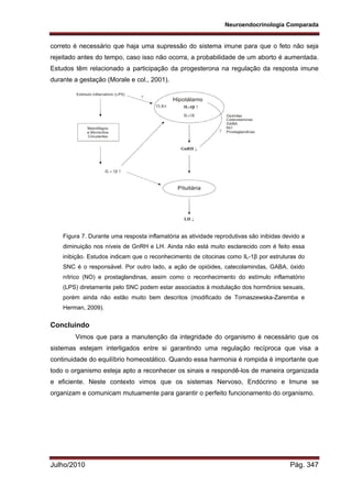Neuroendocrinologia Comparada
Julho/2010 Pág. 347
correto é necessário que haja uma supressão do sistema imune para que o feto não seja
rejeitado antes do tempo, caso isso não ocorra, a probabilidade de um aborto é aumentada.
Estudos têm relacionado a participação da progesterona na regulação da resposta imune
durante a gestação (Morale e col., 2001).
Concluindo
Vimos que para a manutenção da integridade do organismo é necessário que os
sistemas estejam interligados entre si garantindo uma regulação recíproca que visa a
continuidade do equilíbrio homeostático. Quando essa harmonia é rompida é importante que
todo o organismo esteja apto a reconhecer os sinais e respondê-los de maneira organizada
e eficiente. Neste contexto vimos que os sistemas Nervoso, Endócrino e Imune se
organizam e comunicam mutuamente para garantir o perfeito funcionamento do organismo.
Figura 7. Durante uma resposta inflamatória as atividade reprodutivas são inibidas devido a
diminuição nos níveis de GnRH e LH. Ainda não está muito esclarecido com é feito essa
inibição. Estudos indicam que o reconhecimento de citocinas como IL-1β por estruturas do
SNC é o responsável. Por outro lado, a ação de opióides, catecolamindas, GABA, óxido
nítrico (NO) e prostaglandinas, assim como o reconhecimento do estímulo inflamatório
(LPS) diretamente pelo SNC podem estar associados à modulação dos hormônios sexuais,
porém ainda não estão muito bem descritos (modificado de Tomaszewska-Zaremba e
Herman, 2009).
 