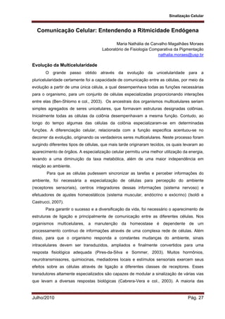 Sinalização Celular
Julho/2010 Pág. 27
Comunicação Celular: Entendendo a Ritmicidade Endógena
Maria Nathália de Carvalho Magalhães Moraes
Laboratório de Fisiologia Comparativa da Pigmentação
nathalia.moraes@usp.br
Evolução da Multicelularidade
O grande passo obtido através da evolução da unicelularidade para a
pluricelularidade certamente foi a capacidade de comunicação entre as células, por meio da
evolução a partir de uma única célula, a qual desempenhava todas as funções necessárias
para o organismo, para um conjunto de células especializadas proporcionando interações
entre elas (Ben-Shlomo e col., 2003). Os ancestrais dos organismos multicelulares seriam
simples agregados de seres unicelulares, que formavam estruturas designadas colônias.
Inicialmente todas as células da colônia desempenhavam a mesma função. Contudo, ao
longo do tempo algumas das células da colônia especializaram-se em determinadas
funções. A diferenciação celular, relacionada com a função especifica acentuou-se no
decorrer da evolução, originando os verdadeiros seres multicelulares. Neste processo foram
surgindo diferentes tipos de células, que mais tarde originaram tecidos, os quais levaram ao
aparecimento de órgãos. A especialização celular permitiu uma melhor utilização da energia,
levando a uma diminuição da taxa metabólica, além de uma maior independência em
relação ao ambiente.
Para que as células pudessem sincronizar as tarefas e perceber informações do
ambiente, foi necessária a especialização de células para percepção do ambiente
(receptores sensoriais), centros integradores dessas informações (sistema nervoso) e
efetuadores de ajustes homeostáticos (sistema muscular, endócrino e exócrino) (Isoldi e
Castrucci, 2007).
Para garantir o sucesso e a diversificação da vida, foi necessário o aparecimento de
estruturas de ligação e principalmente de comunicação entre as diferentes células. Nos
organismos multicelulares, a manutenção da homeostase é dependente de um
processamento continuo de informações através de uma complexa rede de células. Além
disso, para que o organismo responda a constantes mudanças do ambiente, sinais
intracelulares devem ser transduzidos, ampliados e finalmente convertidos para uma
resposta fisiológica adequada (Pires-da-Silva e Sommer, 2003). Muitos hormônios,
neurotransmissores, quimiocinas, mediadores locais e estímulos sensoriais exercem seus
efeitos sobre as células através de ligação a diferentes classes de receptores. Esses
transdutores altamente especializados são capazes de modular a sinalização de várias vias
que levam a diversas respostas biológicas (Cabrera-Vera e col., 2003). A maioria das
 