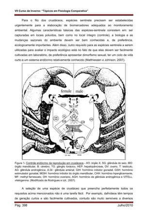 VII Curso de Inverno: “Tópicos em Fisiologia Comparativa”
Pág. 398 Julho/2010
Para o filo dos crustáceos, espécies sentinela precisam ser estabelecidas
urgentemente para a elaboração de biomarcadores adequados ao monitoramento
ambiental. Algumas características básicas das espécies-sentinela consistem em: ser
capturadas em locais poluídos, bem como no local íntegro (controle), a biologia e as
mudanças sazonais do ambiente devem ser bem conhecidas e, de preferência,
ecologicamente importantes. Além disso, outro requisito para as espécies sentinela a serem
utilizadas para avaliar o impacto ecológico está no fato de que elas devem ser facilmente
cultivadas em laboratório, de preferência apresentar dimorfismo sexual, ter um ciclo de vida
curto e um sistema endócrino relativamente conhecido (Matthiessen e Johnson, 2007).
Figura 1- Controle endócrino da reprodução em crustáceos - XO: órgão X, SG: glândula do seio, MO:
órgão mandibular, B: cérebro, TG: gânglio torácico, HEP: hepatopâncreas, OV: ovario, T: testiculo,
AG: glândula androgênica, A.Gl.: glândula antenal, GIH: hormônio inibidor gonadal, GSH: hormônio
estimulador gonadal, MOIH: hormônio inibidor do órgão mandibular, CHH: hormônio hiperglicemiante,
MF: methyl farnesoato, OH: hormônio ovariano, AGH: hormônio da glândula androgênica e VITELL:
vitelogenina. (Modificado de Rodrigues e col., 2007).
A seleção de uma espécie de crustáceo que preencha perfeitamente todos os
requisitos acima mencionados não é uma tarefa fácil. Por exemplo, dafnídeos têm tempos
de geração curtos e são facilmente cultivados, contudo são muito sensíveis a diversos
 