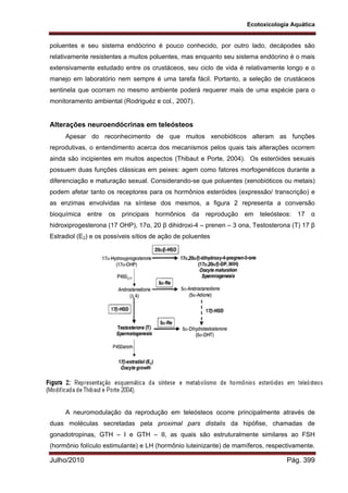 Ecotoxicologia Aquática
Julho/2010 Pág. 399
poluentes e seu sistema endócrino é pouco conhecido, por outro lado, decápodes são
relativamente resistentes a muitos poluentes, mas enquanto seu sistema endócrino é o mais
extensivamente estudado entre os crustáceos, seu ciclo de vida é relativamente longo e o
manejo em laboratório nem sempre é uma tarefa fácil. Portanto, a seleção de crustáceos
sentinela que ocorram no mesmo ambiente poderá requerer mais de uma espécie para o
monitoramento ambiental (Rodriguéz e col., 2007).
Alterações neuroendócrinas em teleósteos
Apesar do reconhecimento de que muitos xenobióticos alteram as funções
reprodutivas, o entendimento acerca dos mecanismos pelos quais tais alterações ocorrem
ainda são incipientes em muitos aspectos (Thibaut e Porte, 2004). Os esteróides sexuais
possuem duas funções clássicas em peixes: agem como fatores morfogenéticos durante a
diferenciação e maturação sexual. Considerando-se que poluentes (xenobióticos ou metais)
podem afetar tanto os receptores para os hormônios esteróides (expressão/ transcrição) e
as enzimas envolvidas na síntese dos mesmos, a figura 2 representa a conversão
bioquímica entre os principais hormônios da reprodução em teleósteos: 17 α
hidroxiprogesterona (17 OHP), 17α, 20 β dihidroxi-4 – prenen – 3 ona, Testosterona (T) 17 β
Estradiol (E2) e os possíveis sítios de ação de poluentes
A neuromodulação da reprodução em teleósteos ocorre principalmente através de
duas moléculas secretadas pela proximal pars distalis da hipófise, chamadas de
gonadotropinas, GTH – I e GTH – II, as quais são estruturalmente similares ao FSH
(hormônio folículo estimulante) e LH (hormônio luteinizante) de mamíferos, respectivamente.
 