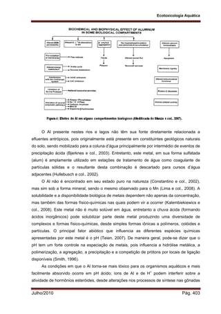 Ecotoxicologia Aquática
Julho/2010 Pág. 403
O Al presente nestes rios e lagos não têm sua fonte diretamente relacionada a
efluentes antrópicos, pois originalmente está presente em constituintes geológicos naturais
do solo, sendo mobilizado para a coluna d’água principalmente por intermédio de eventos de
precipitação ácida (Bjerknes e col., 2003). Entretanto, este metal, em sua forma sulfatada
(alum) é amplamente utilizado em estações de tratamento de água como coagulante de
partículas sólidas e o resultante desta combinação é descartado para cursos d’água
adjacentes (Hullebusch e col., 2002).
O Al não é encontrado em seu estado puro na natureza (Constantino e col., 2002),
mas sim sob a forma mineral, sendo o mesmo observado para o Mn (Lima e col., 2008). A
solubilidade e a disponibilidade biológica de metais dependem não apenas da concentração,
mas também das formas físico-químicas nas quais podem vir a ocorrer (Kalembiekiewics e
col., 2008). Este metal não é muito solúvel em água, entretanto a chuva ácida (formando
ácidos inorgânicos) pode solubilizar parte deste metal produzindo uma diversidade de
complexos e formas físico-químicas, desde simples formas iônicas a polímeros, colóides e
partículas. O principal fator abiótico que influencia as diferentes espécies químicas
apresentadas por este metal é o pH (Teien, 2007). De maneira geral, pode-se dizer que o
pH tem um forte controle na especiação de metais, pois influencia a hidrólise metálica, a
polimerização, a agregação, a precipitação e a competição de prótons por locais de ligação
disponíveis (Smith, 1996).
As condições em que o Al torna-se mais tóxico para os organismos aquáticos e mais
facilmente absorvido ocorre em pH ácido; íons de Al e de H+
podem interferir sobre a
atividade de hormônios esteróides, desde alterações nos processos de síntese nas gônadas
 
