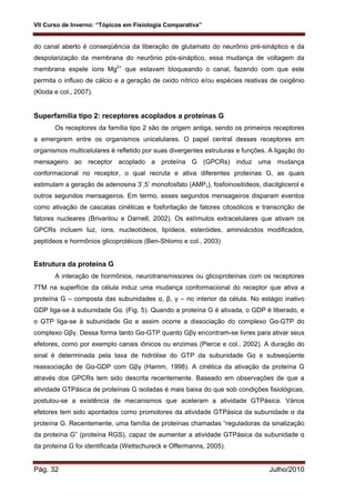 VII Curso de Inverno: “Tópicos em Fisiologia Comparativa”
Pág. 32 Julho/2010
do canal aberto é conseqüência da liberação de glutamato do neurônio pré-sináptico e da
despolarização da membrana do neurônio pós-sináptico, essa mudança de voltagem da
membrana expele íons Mg2+
que estavam bloqueando o canal, fazendo com que este
permita o influxo de cálcio e a geração de oxido nítrico e/ou espécies reativas de oxigênio
(Kloda e col., 2007).
Superfamília tipo 2: receptores acoplados a proteínas G
Os receptores da família tipo 2 são de origem antiga, sendo os primeiros receptores
a emergirem entre os organismos unicelulares. O papel central desses receptores em
organismos multicelulares é refletido por suas divergentes estruturas e funções. A ligação do
mensageiro ao receptor acoplado a proteína G (GPCRs) induz uma mudança
conformacional no receptor, o qual recruta e ativa diferentes proteínas G, as quais
estimulam a geração de adenosina 3’,5’ monofosfato (AMPc), fosfoinositídeos, diacilglicerol e
outros segundos mensageiros. Em termo, esses segundos mensageiros disparam eventos
como ativação de cascatas cinéticas e fosforilação de fatores citosólicos e transcrição de
fatores nucleares (Brivanlou e Darnell, 2002). Os estímulos extracelulares que ativam os
GPCRs incluem luz, íons, nucleotídeos, lipídeos, esteróides, aminoácidos modificados,
peptídeos e hormônios glicoprotéicos (Ben-Shlomo e col., 2003)
Estrutura da proteína G
A interação de hormônios, neurotransmissores ou glicoproteínas com os receptores
7TM na superfície da célula induz uma mudança conformacional do receptor que ativa a
proteína G – composta das subunidades α, β, γ – no interior da célula. No estágio inativo
GDP liga-se à subunidade Gα. (Fig. 5). Quando a proteína G é ativada, o GDP é liberado, e
o GTP liga-se à subunidade Gα e assim ocorre a dissociação do complexo Gα-GTP do
complexo Gβγ. Dessa forma tanto Gα-GTP quanto Gβγ encontram-se livres para ativar seus
efetores, como por exemplo canais iônicos ou enzimas (Pierce e col., 2002). A duração do
sinal é determinada pela taxa de hidrólise do GTP da subunidade Gα e subseqüente
reassociação de Gα-GDP com Gβγ (Hamm, 1998). A cinética da ativação da proteína G
através dos GPCRs tem sido descrita recentemente. Baseado em observações de que a
atividade GTPásica de proteínas G isoladas é mais baixa do que sob condições fisiológicas,
postulou-se a existência de mecanismos que aceleram a atividade GTPásica. Vários
efetores tem sido apontados como promotores da atividade GTPásica da subunidade α da
proteína G. Recentemente, uma família de proteínas chamadas “reguladoras da sinalização
da proteína G” (proteína RGS), capaz de aumentar a atividade GTPásica da subunidade α
da proteína G foi identificada (Wettschureck e Offermanns, 2005).
 