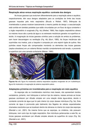 VII Curso de Inverno: “Tópicos em Fisiologia Comparativa”
Pág. 430 Julho/2010
Respiração aérea versus respiração aquática: contraste dos designs
As trocas gasosas que evoluíram diferentemente para a respiração aérea e aquática,
respectivamente, têm seus designs adaptados para as condições de limite das trocas
gasosas impostas pelo meio respiratório (Bicudo e Weibel, 1987). Brânquias de
invertebrados e peixes mostram basicamente o mesmo padrão de design: a vascularização
está contida em lamelas paralelas que estão circundadas por um fluxo de água constante e
o órgão respiratório é evaginado (Fig. 4a) (Weibel, 1984). Nos órgãos respiratórios aéreos
os maiores riscos são a perda de água e os estresses mecânicos gerados na superfície ar-
tecido. A invaginação da trocas gasosas contribui para a solução de ambos os problemas,
sem haver desvantagem na ventilação (Fig. 4b) (Burri, 1985). As forças mecânicas são
suprimidas nos insetos, pois a traquéia é composta por uma espiral rígida de quitina. Nos
pulmões essas forças são compensadas montando os elementos das trocas gasosas
(septos alveolares) em um sistema fibroso mantido constantemente sob tensão, e provendo
a superfície com uma camada surfactante (Meban, 1980).
Figuras 4a e b: figura 4a mostrando sistema respiratório aquático evaginado de um nudibrânquio,
figura 4b mostrando a invaginação de sistema respiratório aéreo.
Adaptações primárias em invertebrados para a respiração em meio aquático
As esponjas são os invertebrados marinhos mais basais, não apresentam tecidos
verdadeiros, portanto, nem brânquias e nenhum tipo de sistema, nesses animais as trocas
gasosas acontecem por difusão simples em uma relação direta água-célula, devido á
constante corrente de água que fui pelo interior do corpo desses indivíduos (Fig. 5a). Esta
corrente de água é promovida pelo batimento dos flagelos de células especializadas
chamadas coanócitos que se localizam dentro de câmaras no interior do corpo das esponjas
(Randall e col., 2001). Da mesma forma que as esponjas, os cnidários, não possuem
brânquias, nem outro tipo de órgão respiratório. Nos indivíduos pertencentes a este filo, as
trocas gasosas acontecem por difusão simples através da superfície do corpo (Fig. 5b)
(Randall e col., 2001).
 