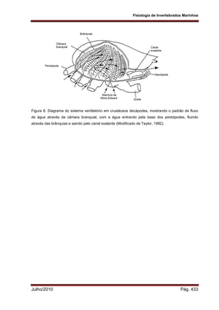 Fisiologia de Invertebrados Marinhos
Julho/2010 Pág. 433
Figura 8. Diagrama do sistema ventilatório em crustáceos decápodes, mostrando o padrão de fluxo
de água através da câmara branquial, com a água entrando pela base dos pereópodes, fluindo
através das brânquias e saindo pelo canal exalante (Modificado de Taylor, 1982).
 