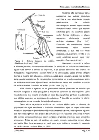 Fisiologia de Invertebrados Marinhos
Julho/2010 Pág. 439
Cnidários são conhecidos como
predadores nas cadeias ecológicas
marinhas e sua alimentação consiste
principalmente de animais
macroscópicos, embora alguns utilizem
microzooplâncton, outros que habitam
substratos perto da superfície podem
conter formas simbiontes, e alguns
consomem diretamente material
orgânico dissolvido (Arai, 1997).
Entretanto, são considerados últimos
consumidores nestas cadeias
alimentares, já que não são muito
predados, provavelmente devido a seu
corpo gelatinoso possuir baixo valor
energético (Sommer et al.2002).
Na maioria dos cnidários, defesa
e alimentação estão intimamente relacionadas. Os tentáculos da maioria das anêmonas e
águas-vivas servem a ambos os propósitos, e os pólipos defensivos das colônias de
hidrozoóides frequentemente auxiliam também na alimentação. Esses animais utilizam
toxinas, a maioria com atuação no sistema nervoso, para subjugar a presa mas também
para espantar predadores. Os nematocistos, concentrados em grandes quantidades sobre
os tentáculos alimentares, injetam toxinas paralisantes nas presas e as imobilizam enquanto
os tentáculos levam o alimento até a boca (Eckert, 2000) (Fig. 5)
Para facilitar a digestão, há na gastroderme células produtoras de enzimas que
facilitam a digestão e cílios que ajudam a misturar os conteúdos do trato digestivo. Como
resultado dessa fase inicial é produzido um caldo de polipeptídios, gorduras e carboidratos
que células absorvem por processos de endocitose. A digestão se completa no interior
dessas células, com a formação de vacúolos alimentares.
Como vários organismos aquáticos, os cnidários obtém parte do alimento de
populações de algas simbióticas – autótrofos sintetizantes. Após as algas sintetizarem
moléculas orgânicas de precursores inorgânicos utilizando luz solar, elas exportam algumas
das moléculas orgânicas para o tecido do animal hospedeiro. Os corais formadores de recife
são os mais famosos animais que obtem compostos orgânicos através de algas simbiontes
endógenas. Todas as seis mil espécies de corais tropicais conhecidos contem algas
simbiontes. Alem de prover energia ao coral, estas algas facilitam a formação do esqueleto
de calcário desses cnidários (Hill e col 2008).
Figura 5: Sistema digestório de cnidários
(Modificado de Hill e col., 2008)
 