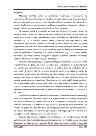 Fisiologia de Invertebrados Marinhos
Julho/2010 Pág. 441
Moluscos
Moluscos marinhos podem ser predadores (herbívoros ou carnívoros) ou
suspensívoros. Possuem tubo digestivo completo no qual a boca conduz à cavidade bucal,
que em muitos organismos contém várias glândulas salivares secretoras de enzimas. Com
exceção dos bivalves, a maioria apresenta a rádula, uma estrutura exclusiva dos moluscos e
que se modificou entre as espécies dependendo da presa potencial.
O aparelho radular é constituído por uma faixa de tecido conjuntivo, repleto de
dentes e esticado sobre uma haste cartilaginosa. A rádula é composta de uma esteira de
dentes quitinosos recurvados, podendo ser simples, serrilhados ou modificados de outras
maneiras (Fig. 7b). O aparelho chamado rádula, é composto por duas partes: a base
cartilaginosa, com o músculo protrator da rádula e o músculo retrator da rádula; e a rádula
propriamente dita, com suas fileiras longitudinais de dentes quitinosos recurvos. A base
cartilaginosa se move para fora e para dentro da boca do animal por intermédio dos
músculos protratores e retratores, e a rádula se movimenta (Fig. 7a ). Através desses
movimentos os dentes da rádula se erguem e raspam a superfície, cortando e recolhendo
partículas de alimento que são conduzidas ao esôfago.
Os dentes são recobertos por muco (secretado por uma glândula salivar), que facilita
o recolhimento e a ingestão da comida. À medida que se desgastam são substituídos por
novos dentes que são continuamente produzidos na parte posterior da cavidade bucal, no
saco radular. O número, a forma e o arranjo dos dentes variam e são adaptados ao tipo de
alimentação, sendo usados para identificar as várias espécies. Em geral, os herbívoros
possuem mais dentes, e nos carnívoros estes são menores. O maior número de dentes na
rádula é encontrado em um gastrópode, Pleurotomaria, com cerca de 200 dentes por fileira.
Certos gastrópodes usam a rádula para caçar outros gastrópodes e bivalves, ralando e
ingerindo as partes macias. Alguns possuem uma rádula formada por um único dente que
pode ser atirado como um arpão contra a presa, liberando uma neurotoxina (Fig. 7d) (Hill e
col., 2008).
A digestão extracelular é efetuada por enzimas e ocorre principalmente no estômago
e nos cecos digestivos, enquanto a absorção e digestão intracelular ocorrem nas paredes
dos cecos e intestino. Na maioria dos moluscos, a digestão é intracelular, na qual as
partículas alimentares são fagocitadas por células da parede de dutos alimentares. No
entanto, em grupos mais derivados como os cefalópodes predomina a digestão extracelular.
As enzimas secretadas principalmente pelos cecos e estômago, digerem o alimento e a
absorção ocorre no estômago, nos cecos e no intestino.
Bivalves são animais ecologicamente importantes, e um exemplo interessante de
quão diferentes dos vertebrados alguns animais podem ser, em relação a seus processos
digestivos e de absorção dos nutrientes. Nesta classe não existe a rádula, e estes são
 