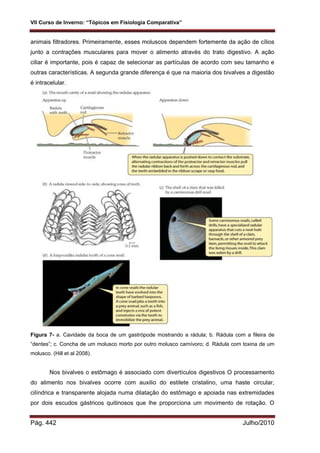 VII Curso de Inverno: “Tópicos em Fisiologia Comparativa”
Pág. 442 Julho/2010
animais filtradores. Primeiramente, esses moluscos dependem fortemente da ação de cílios
junto a contrações musculares para mover o alimento através do trato digestivo. A ação
ciliar é importante, pois é capaz de selecionar as partículas de acordo com seu tamanho e
outras características. A segunda grande diferença é que na maioria dos bivalves a digestão
é intracelular.
Figura 7- a. Cavidade da boca de um gastrópode mostrando a rádula; b. Rádula com a fileira de
“dentes”; c. Concha de um molusco morto por outro molusco carnívoro; d. Rádula com toxina de um
molusco. (Hill et al 2008).
Nos bivalves o estômago é associado com divertículos digestivos O processamento
do alimento nos bivalves ocorre com auxilio do estilete cristalino, uma haste circular,
cilíndrica e transparente alojada numa dilatação do estômago e apoiada nas extremidades
por dois escudos gástricos quitinosos que lhe proporciona um movimento de rotação. O
 