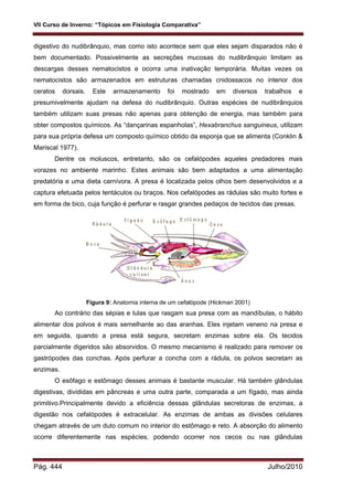 VII Curso de Inverno: “Tópicos em Fisiologia Comparativa”
Pág. 444 Julho/2010
digestivo do nudibrânquio, mas como isto acontece sem que eles sejam disparados não é
bem documentado. Possivelmente as secreções mucosas do nudibrânquio limitam as
descargas desses nematocistos e ocorra uma inativação temporária. Muitas vezes os
nematocistos são armazenados em estruturas chamadas cnidossacos no interior dos
ceratos dorsais. Este armazenamento foi mostrado em diversos trabalhos e
presumivelmente ajudam na defesa do nudibrânquio. Outras espécies de nudibrânquios
também utilizam suas presas não apenas para obtenção de energia, mas também para
obter compostos químicos. As “dançarinas espanholas”, Hexabranchus sanguineus, utilizam
para sua própria defesa um composto químico obtido da esponja que se alimenta (Conklin &
Mariscal 1977).
Dentre os moluscos, entretanto, são os cefalópodes aqueles predadores mais
vorazes no ambiente marinho. Estes animais são bem adaptados a uma alimentação
predatória e uma dieta carnívora. A presa é localizada pelos olhos bem desenvolvidos e a
captura efetuada pelos tentáculos ou braços. Nos cefalópodes as rádulas são muito fortes e
em forma de bico, cuja função é perfurar e rasgar grandes pedaços de tecidos das presas.
Figura 9: Anatomia interna de um cefalópode (Hickman 2001)
Ao contrário das sépias e lulas que rasgam sua presa com as mandíbulas, o hábito
alimentar dos polvos é mais semelhante ao das aranhas. Eles injetam veneno na presa e
em seguida, quando a presa está segura, secretam enzimas sobre ela. Os tecidos
parcialmente digeridos são absorvidos. O mesmo mecanismo é realizado para remover os
gastrópodes das conchas. Após perfurar a concha com a rádula, os polvos secretam as
enzimas.
O esôfago e estômago desses animais é bastante muscular. Há também glândulas
digestivas, divididas em pâncreas e uma outra parte, comparada a um fígado, mas ainda
primitivo.Principalmente devido a eficiência dessas glândulas secretoras de enzimas, a
digestão nos cefalópodes é extracelular. As enzimas de ambas as divisões celulares
chegam através de um duto comum no interior do estômago e reto. A absorção do alimento
ocorre diferentemente nas espécies, podendo ocorrer nos cecos ou nas glândulas
 