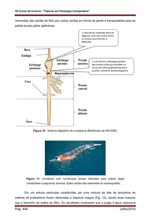 VII Curso de Inverno: “Tópicos em Fisiologia Comparativa”
Pág. 446 Julho/2010
removidas das cerdas do filtro por outras cerdas em forma de pente e transportadas para as
partes bucais pelos apêndices.
Figura 10: Sistema digestório de crustáceos (Modificado de Hill 2008).
Figura 11: Crustáceo com numerosas cerdas utilizadas para coletar algas
unicelulares e pequenos animais. Estas cerdas são e