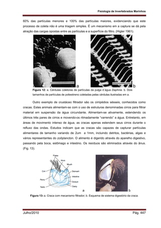 Fisiologia comparada USP 2010