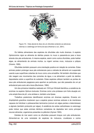 Fisiologia comparada USP 2010