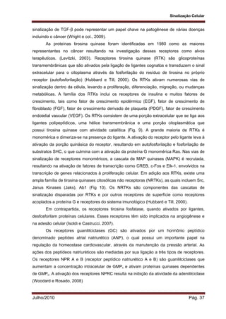 Sinalização Celular
Julho/2010 Pág. 37
sinalização de TGF-β pode representar um papel chave na patogênese de várias doenças
incluindo o câncer (Wright e col., 2009).
As proteínas tirosina quinase foram identificadas em 1980 como as maiores
representantes no câncer resultando na investigação desses receptores como alvos
terapêuticos. (Levitzki, 2003). Receptores tirosina quinase (RTK) são glicoproteínas
transmembrânicas que são ativados pela ligação de ligantes cognatos e transduzem o sinal
extracelular para o citoplasma através da fosforilação do resíduo de tirosina no próprio
receptor (autofosforilação) (Hubbard e Till, 2000). Os RTKs ativam numerosas vias de
sinalização dentro da célula, levando a proliferação, diferenciação, migração, ou mudanças
metabólicas. A família dos RTKs inclui os receptores de insulina e muitos fatores de
crescimento, tais como fator de crescimento epidérmico (EGF), fator de crescimento de
fibroblasto (FGF), fator de crescimento derivado de plaqueta (PDGF), fator de crescimento
endotelial vascular (VEGF). Os RTKs consistem de uma porção extracelular que se liga aos
ligantes polipeptídicos, uma hélice transmembrânica e uma porção citoplasmática que
possui tirosina quinase com atividade catalítica (Fig. 9). A grande maioria de RTKs é
monomérica e dimeriza-se na presença do ligante. A ativação do receptor pelo ligante leva à
ativação da porção quinásica do receptor, resultando em autofosforilação e fosforilação de
substratos SHC, o que culmina com a ativação da proteína G monomérica Ras. Nas vias de
sinalização de receptores monoméricos, a cascata de MAP quinases (MAPK) é recrutada,
resultando na ativação de fatores de transcrição como CREB, c-Fos e Elk-1, envolvidos na
transcrição de genes relacionados à proliferação celular. Em adição aos RTKs, existe uma
ampla família de tirosina quinases citosólicas não receptoras (NRTKs), as quais incluem Src,
Janus Kinases (Jaks), Ab1 (Fig 10). Os NRTKs são componentes das cascatas de
sinalização disparadas por RTKs e por outros receptores de superfície como receptores
acoplados a proteína G e receptores do sistema imunológico (Hubbard e Till, 2000).
Em contrapartida, os receptores tirosina fosfatase, quando ativados por ligantes,
desfosforilam proteínas celulares. Esses receptores têm sido implicados na angiogênese e
na adesão celular (Isoldi e Castrucci, 2007).
Os receptores guanililciclases (GC) são ativados por um hormônio peptídico
denominado peptídeo atrial natriurético (ANP), o qual possui um importante papel na
regulação da homeostase cardiovascular, através da manutenção da pressão arterial. As
ações dos peptídeos natriuréticos são mediadas por sua ligação a três tipos de receptores.
Os receptores NPR A e B (receptor peptídico natriurético A e B) são guanililciclases que
aumentam a concentração intracelular de GMPc e ativam proteínas quinases dependentes
de GMPc. A ativação dos receptores NPRC resulta na inibição da atividade da adenililciclase
(Woodard e Rosado, 2008)
 