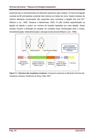 VII Curso de Inverno: “Tópicos em Fisiologia Comparativa”
Pág. 40 Julho/2010
essencial para o reconhecimento do elemento responsivo pelo receptor. O motivo de ligação
consiste de 66 aminoácidos contendo dois motivos em dedos de zinco. Quatro resíduos de
cisteína altamente conservados são requeridos para coordenar a ligação dos íons Zn2+
(Ribeiro e col., 1995; Tenbaum e Baniahmad, 1997). O LBD confere especificidade na
ligação ao ligante e possui um número de funções reguladas por essa ligação. Essas
funções incluem a liberação do receptor do complexo hsps, translocação para o núcleo,
homodimerização, heterodimerizção e ativação transcricional (Ribeiro e col., 1995).
Figura 11 – Estrutura dos receptores nucleares. O esquema apresenta os diferentes domínios dos
receptores nucleares. Modificado de Rang e Dale, 2007.
 