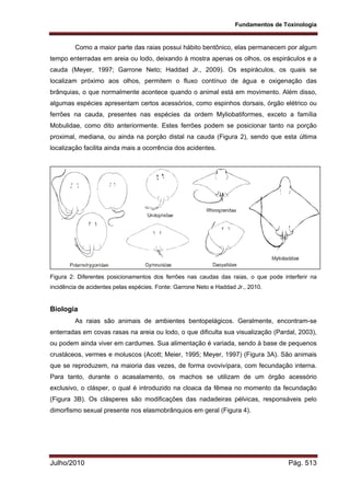 Fisiologia comparada USP 2010