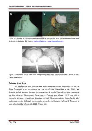 Fisiologia comparada USP 2010
