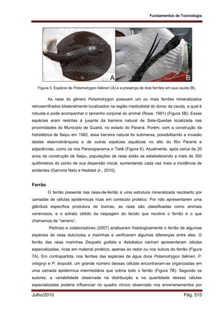 Fisiologia comparada USP 2010