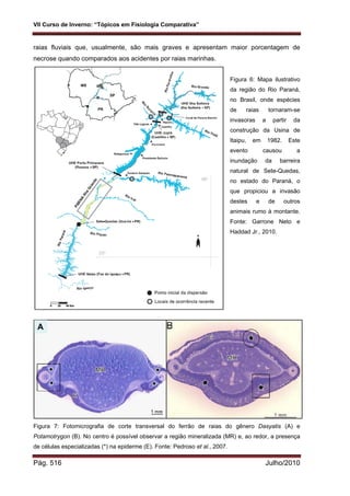 Fisiologia comparada USP 2010