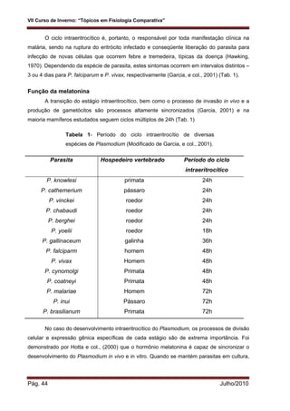 VII Curso de Inverno: “Tópicos em Fisiologia Comparativa”
Pág. 44 Julho/2010
O ciclo intraeritrocítico é, portanto, o responsável por toda manifestação clínica na
malária, sendo na ruptura do eritrócito infectado e conseqüente liberação do parasita para
infecção de novas células que ocorrem febre e tremedeira, típicas da doença (Hawking,
1970). Dependendo da espécie de parasita, estes sintomas ocorrem em intervalos distintos –
3 ou 4 dias para P. falciparum e P. vivax, respectivamente (Garcia, e col., 2001) (Tab. 1).
Função da melatonina
A transição do estágio intraeritrocítico, bem como o processo de invasão in vivo e a
produção de gametócitos são processos altamente sincronizados (Garcia, 2001) e na
maioria mamíferos estudados seguem ciclos múltiplos de 24h (Tab. 1)
Tabela 1- Período do ciclo intraeritrocítio de diversas
espécies de Plasmodium (Modificado de Garcia, e col., 2001).
Parasita Hospedeiro vertebrado Período do ciclo
intraeritrocítico
P. knowlesi primata 24h
P. cathemerium pássaro 24h
P. vinckei roedor 24h
P. chabaudi roedor 24h
P. berghei roedor 24h
P. yoelii roedor 18h
P. gallinaceum galinha 36h
P. falciparm homem 48h
P. vivax Homem 48h
P. cynomolgi Primata 48h
P. coatneyi Primata 48h
P. malariae Homem 72h
P. inui Pássaro 72h
P. brasilianum Primata 72h
No caso do desenvolvimento intraeritrocítico do Plasmodium, os processos de divisão
celular e expressão gênica específicas de cada estágio são de extrema importância. Foi
demonstrado por Hotta e col., (2000) que o hormônio melatonina é capaz de sincronizar o
desenvolvimento do Plasmodium in vivo e in vitro. Quando se mantém parasitas em cultura,
 
