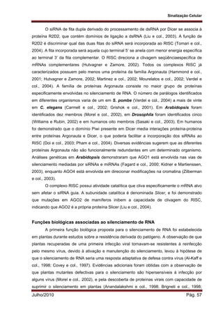 Sinalização Celular
Julho/2010 Pág. 57
O siRNA de fita dupla derivado do processamento de dsRNA por Dicer se associa à
proteína R2D2, que contém domínios de ligação a dsRNA (Liu e col., 2003). A função de
R2D2 é discriminar qual das duas fitas do siRNA será incorporada ao RISC (Tomari e col.,
2004). A fita incorporada será aquela cujo terminal 5’ se anela com menor energia específica
ao terminal 3’ da fita complementar. O RISC direciona a clivagem seqüênciaespecífica de
mRNAs complementares (Hutvagner e Zamore, 2002). Todos os complexos RISC já
caracterizados possuem pelo menos uma proteína da família Argonauta (Hammond e col.,
2001; Hutvagner e Zamore, 2002; Martinez e col., 2002; Mourelatos e col., 2002; Verdel e
col., 2004). A família de proteínas Argonauta consiste no maior grupo de proteínas
especificamente envolvidas no silenciamento de RNA. O número de parálogos identificados
em diferentes organismos varia de um em S. pombe (Verdel e col., 2004) a mais de vinte
em C. elegans (Carmell e col., 2002; Grishok e col., 2001). Em Arabidopsis foram
identificados dez membros (Morel e col., 2002), em Drosophila foram identificados cinco
(Williams e Rubin, 2002) e em humanos oito membros (Sasaki e col., 2003). Em humanos
foi demonstrado que o domínio Piwi presente em Dicer media interações proteína-proteína
entre proteínas Argonauta e Dicer, o que poderia facilitar a incorporação dos siRNAs ao
RISC (Doi e col., 2003; Pham e col., 2004). Diversas evidências sugerem que as diferentes
proteínas Argonauta não são funcionalmente redundantes em um determinado organismo.
Análises genéticas em Arabidopsis demonstraram que AGO1 está envolvida nas vias de
silenciamento mediadas por siRNAs e miRNAs (Fagard e col., 2000; Kidner e Martienssen,
2003), enquanto AGO4 está envolvida em direcionar modificações na cromatina (Zilberman
e col., 2003).
O complexo RISC possui atividade catalítica que cliva especificamente o mRNA alvo
sem afetar o siRNA guia. A subunidade catalítica é denominada Slicer, e foi demonstrado
que mutações em AGO2 de mamíferos inibem a capacidade de clivagem do RISC,
indicando que AGO2 é a própria proteína Slicer (Liu e col., 2004).
Funções biológicas associadas ao silenciamento de RNA
A primeira função biológica proposta para o silenciamento de RNA foi estabelecida
em plantas durante estudos sobre a resistência derivada do patógeno. A observação de que
plantas recuperadas de uma primeira infecção viral tornavam-se resistentes à reinfecção
pelo mesmo vírus, devido à ativação e manutenção do silenciamento, levou à hipótese de
que o silenciamento de RNA seria uma resposta adaptativa de defesa contra vírus (Al-Kaff e
col., 1998; Covey e col., 1997). Evidências adicionais foram obtidas com a observação de
que plantas mutantes defectivas para o silenciamento são hipersensíveis à infecção por
alguns vírus (Morel e col., 2002), e pela descoberta de proteínas virais com capacidade de
suprimir o silenciamento em plantas (Anandalakshmi e col., 1998; Brigneti e col., 1998;
 