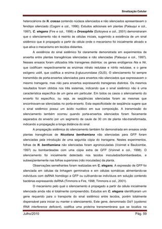 Sinalização Celular
Julho/2010 Pág. 59
heterocárions de N. crassa contendo núcleos silenciados e não silenciados apresentavam o
fenótipo silenciado (Cogoni e col., 1996). Estudos adicionais em plantas (Palauqui e col.,
1997), C. elegans (Fire e col., 1998) e Drosophila (Dzitoyeva e col., 2001) demonstraram
que o silenciamento não é restrito às células iniciais, sugerindo a existência de um sinal
sistêmico que é propagado a partir da célula onde o mecanismo foi inicialmente ativado e
que ativa o mecanismo em tecidos distantes.
A existência do sinal sistêmico foi claramente demonstrada em experimentos de
enxertia entre plantas transgênicas silenciadas e não silenciadas (Palauqui e col., 1997).
Nesses ensaios foram utilizados três transgenes distintos: os genes endógenos Nia e Nii,
que codificam respectivamente as enzimas nitrato redutase e nitrito redutase, e o gene
exógeno uidA, que codifica a enzima β-glucuronidase (GUS). O silenciamento foi sempre
transmitido de porta-enxertos silenciados para enxertos não silenciados que expressavam o
mesmo transgene, mas não para enxertos expressando transgenes distintos. Os mesmos
resultados foram obtidos nos três sistemas, indicando que o sinal sistêmico não é uma
característica específica de um gene em particular. Em todos os casos o silenciamento do
enxerto foi específico, ou seja, as seqüências silenciadas foram as mesmas que
encontravam-se silenciadas no porta-enxerto. Esta especificidade de seqüência sugere que
o sinal sistêmico possui um ácido nucléico em sua composição. A transmissão do
silenciamento também ocorreu quando porta-enxertos silenciados foram fisicamente
separados do enxerto por um segmento de caule de 30 cm de planta não-transformada,
indicando a propagação a longa distância do sinal.
A propagação sistêmica do silenciamento também foi demonstrada em ensaios onde
plantas transgênicas de Nicotiana benthamiana não silenciadas para GFP foram
silenciadas pela introdução de uma segunda cópia do transgene. Nestes experimentos,
folhas de N. benthamiana não silenciadas foram agroinoculadas (Voinnet e Baulcombe,
1997) ou bombardeadas com uma cópia extra de GFP (Voinnet e col., 1998). O
silenciamento foi inicialmente detectado nos tecidos inoculados/bombardeados, e
subseqüentemente nas folhas superiores (não inoculadas) da planta.
Observações semelhantes foram realizadas em C. elegans. A expressão de GFP foi
silenciada em células da linhagem germinativa e em células somáticas alimentando-se
indivíduos com dsRNA homólogo a GFP ou cultivando-se indivíduos em solução contendo
bactérias expressando dsRNA (Timmons e Fire, 1998; Timmons e col., 2001).
O mecanismo pelo qual o silenciamento é propagado a partir da célula inicialmente
silenciada ainda não é totalmente compreendido. Estudos em C. elegans identificaram um
gene requerido para o transporte do sinal sistêmico entre tecidos, porém totalmente
dispensável para iniciar ou manter o silenciamento. Este gene, denominado Sid1 (systemic
RNA interference deficient), codifica uma proteína transmembrana que se localiza na
 