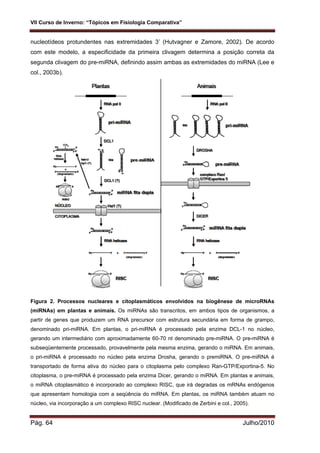 VII Curso de Inverno: “Tópicos em Fisiologia Comparativa”
Pág. 64 Julho/2010
nucleotídeos protundentes nas extremidades 3’ (Hutvagner e Zamore, 2002). De acordo
com este modelo, a especificidade da primeira clivagem determina a posição correta da
segunda clivagem do pre-miRNA, definindo assim ambas as extremidades do miRNA (Lee e
col., 2003b).
Figura 2. Processos nucleares e citoplasmáticos envolvidos na biogênese de microRNAs
(miRNAs) em plantas e animais. Os miRNAs são transcritos, em ambos tipos de organismos, a
partir de genes que produzem um RNA precursor com estrutura secundária em forma de grampo,
denominado pri-miRNA. Em plantas, o pri-miRNA é processado pela enzima DCL-1 no núcleo,
gerando um intermediário com aproximadamente 60-70 nt denominado pre-miRNA. O pre-miRNA é
subseqüentemente processado, provavelmente pela mesma enzima, gerando o miRNA. Em animais,
o pri-miRNA é processado no núcleo pela enzima Drosha, gerando o premiRNA. O pre-miRNA é
transportado de forma ativa do núcleo para o citoplasma pelo complexo Ran-GTP/Exportina-5. No
citoplasma, o pre-miRNA é processado pela enzima Dicer, gerando o miRNA. Em plantas e animais,
o miRNA citoplasmático é incorporado ao complexo RISC, que irá degradas os mRNAs endógenos
que apresentam homologia com a seqüência do miRNA. Em plantas, os miRNA também atuam no
núcleo, via incorporação a um complexo RISC nuclear. (Modificado de Zerbini e col., 2005).
 