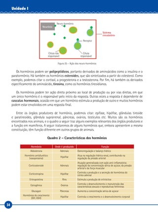 34
Unidade I
Neurônio
Sistema
circulatório
Receptor
Neuro-hormônio
Célula não
responsável
Célula
responsável
Figura 25 – Ação dos neuro-hormônios
Os hormônios podem ser polipeptídicos, portanto derivados de aminoácidos como a insulina e o
paratormônio. Há também os hormônios esteroides, que são sintetizados a partir do colesterol. Como
exemplo, podemos citar o cortisol, a progesterona e a testosterona. Por fim, há também os derivados
especificamente do aminoácido, tirosina, como os hormônios tireoidianos.
Os hormônios podem ter ação direta próximo ao local de produção ou por vias diretas, em que
um único hormônio é o responsável pelo início da resposta. Outras vezes a resposta é dependente de
cascatas hormonais, ocasião em que um hormônio estimula a produção de outro e muitos hormônios
podem estar envolvidos em uma resposta final.
Entre os órgãos produtores de hormônio, podemos citar: epífase, hipófise, glândulas tireoide
e paratireoides, glândula suprarrenal, pâncreas, ovários, testículos etc. Muitos são os hormônios
encontrados nos animais, e o quadro a seguir traz alguns exemplos relevantes dos órgãos produtores e
a função em mamíferos. A seguir trataremos de alguns hormônios que, embora apresentem a mesma
constituição, têm função diferente em outros grupos de animais.
Quadro 2 – Características dos hormônios
Hormônio Onde é produzido Função
Aldosterona Adrenais Osmorregulação e balanço hídrico
Hormônio antidiurético
(vasopressina)
Hipófise
Atua na regulação hídrica renal, contribuindo na
regulação da pressão arterial
Corticosteroide Adrenais
Atuação generalizada com ação anti-inflamatória;
regulação da concentração sérica de açúcar, da pressão
arterial e da força muscular
Corticotropina Hipófise
Controla a produção e a secreção de hormônios do
córtex adrenal
Eritropoietina Rins Estimula a produção de eritrócitos
Estrogênios Ovários
Controla o desenvolvimento e manutenção das
características sexuais e reprodutivas femininas
Glucagon Pâncreas Aumenta a concentração sérica de açúcar
Hormônios do crescimento
(GH; GSH)
Hipófise Controla o crescimento e o desenvolvimento corporal
 