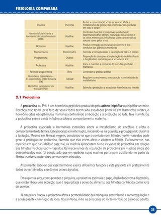 35
FISIOLOGIA COMPARADA
Insulina Pâncreas
Reduz a concentração sérica de açúcar; afeta o
metabolismo da glicose, das proteínas e das gorduras
em todo o corpo
Hormônio luteinizante e
hormônio foliculoestimulante
(FSH)
Hipófise
Controlam funções reprodutivas: produção de
espermatozoides e sêmen, maturação dos ovócitos e
os ciclos menstruais; influências sobre características
sexuais como pelos e voz
Ocitocina Hipófise
Produz contração da musculatura uterina e dos
condutos das glândulas mamárias
Paratormônio Paratireoides Controla a formação óssea e a excreção de cálcio e fósforo
Progesterona Ovários
Preparação do útero para a implantação do óvulo fertilizado
e das glândulas mamárias para a secreção de leite
Prolactina Hipófise
Inicia e mantém a produção de leite das glândulas
mamárias
Renina e angiotensina Rins Controlam a pressão arterial
Hormônios tireoidianos –
Tri‑iodotironina (T3) e Tiroxina
(T4)
Tireoide
Regulam o crescimento, a maturação e a velocidade do
metabolismo
Hormônio estimulante da
tireoide (TSH)
Hipófise Estimula a produção e a secreção de hormônios pela tireoide
2.1 Prolactina
A prolactina ou PHL é um hormônio peptídico produzido pela adeno-hipófise ou hipófise anterior.
Recebeu esse nome pelo fato de seus efeitos terem sido estudados primeiro em mamíferos. Nestes, o
hormônio atua nas glândulas mamárias controlando a liberação e a produção do leite. Nos mamíferos,
a prolactina exerce ainda influência sobre o comportamento materno.
A prolactina associada a hormônios esteroides altera o metabolismo do encéfalo e afeta o
comportamento da fêmea. Esse processo é ininterrupto, iniciando-se na gravidez e prosseguindo durante
a lactação. Mesmo em fêmeas virgens, constatou-se que o contato com filhotes recém-nascidos pode
gerar a produção de prolactina, fazendo que elas criem afeto e adotem o filhote. Curiosamente, nas
espécies em que o cuidado é paternal, os machos apresentam níveis elevados de prolactina em relação
aos filhotes machos recém-nascidos. Os mecanismos de regulação da prolactina em machos ainda são
desconhecidos, mas foi constatado que em espécies cujos machos participam auxiliando no parto da
fêmea os níveis posteriores permanecem elevados.
Atualmente, sabe-se que esse hormônio exerce diferentes funções e está presente em praticamente
todos os vertebrados, exceto nos peixes ágnatos.
Em algumas aves, como pombos e pinguins, a prolactina estimula o papo, órgão do sistema digestório,
que então libera uma secreção que é regurgitada e serve de alimento aos filhotes conhecida como leite
de pombo.
Já em peixes ósseos, a prolactina afeta a permeabilidade das brânquias, controlando a osmorregulação e
a consequente eliminação de íons. Nos anfíbios, inibe os processos de metamorfose do girino ao adulto.
 