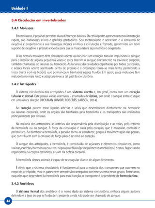 44
Unidade I
3.4 Circulação em invertebrados
3.4.1 Moluscos
Em moluscos, é possível perceber duas diferenças básicas. Os cefalópodes apresentam movimentação
rápida, são nadadores ativos e grandes predadores. Seu metabolismo é acelerado e o consumo de
oxigênio é proporcional a sua fisiologia. Nesses animais a circulação é fechada, garantindo um bom
suporte de oxigênio e pressão elevada para que a musculatura seja nutrida e oxigenada.
Já os demais moluscos têm circulação aberta ou lacunar: um coração tubular impulsiona o sangue
para o interior de alguns pequenos vasos e estes liberam o sangue diretamente na cavidade corporal,
também chamadas de lacunas ou hemocele. As lacunas são cavidades espalhadas por todos os tecidos,
e nesses locais ocorre acentuada perda de pressão e a circulação torna-se mais lenta, permitindo a
troca direta com os tecidos que permanecem banhados nesses fluidos. Em geral, esses moluscos têm
metabolismo mais lento e adaptaram-se a tal padrão circulatório.
3.4.2 Artrópodes
O sistema circulatório dos artrópodes é um sistema aberto e, em geral, conta com um coração
tubular e dorsal. Este possui várias aberturas – chamadas de óstios, por onde o sangue entra e segue
em uma única direção (HICKMAN JUNIOR; ROBERTS; LARSON, 2014).
Ao coração podem estar ligadas artérias e veias que desembocam diretamente na hemocele
ou lacunas corporais, onde os órgãos são banhados pela hemolinfa e os transportes são realizados
principalmente por difusão.
Na maioria dos artrópodes, as artérias são responsáveis pela distribuição e as veias, pelo retorno
da hemolinfa ou do sangue. A força da circulação é dada pelo coração, que é muscular, contrátil e
peristáltico. Ao bombear a hemolinfa, a pressão torna-se constante, graças à movimentação das pernas,
que contribuem com a emissão de força para o retorno ao coração.
O sangue dos artrópodes, a hemolinfa, é constituída de açúcares e elementos circulantes, como
toxinas,excretas,hormônioseoutros;hápoucascélulas(principalmenteamebócitos),eestas,fagocitando
organismos ou corpos estranhos, atuam na defesa corporal.
A hemolinfa desses animais é capaz de se coagular diante de algum ferimento.
É óbvio que o sistema circulatório é fundamental para a maioria dos transportes que ocorrem no
corpo do artrópode, mas os gases nem sempre são carregados por esse sistema nesse grupo. Entretanto,
naqueles que dependem da hemolinfa para essa função, o transporte é dependente de hemocianina.
3.4.3 Anelídeos
O sistema hemal dos anelídeos é o nome dado ao sistema circulatório, embora alguns autores
defendam a tese de que o fluido de transporte ainda não pode ser chamado de sangue.
 