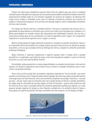 55
FISIOLOGIA COMPARADA
Corpos com altas taxas metabólicas requerem altos níveis de oxigênio para que ocorra a oxidação
necessáriaparaaliberaçãodeenergiaqueseráconsumidanasatividadesmetabólicas.Odesenvolvimento
organizacional também pode ser um elemento regulador do consumo de oxigênio. As planárias têm
corpos muito simples e achatados, como visto em sistemas circulatórios, portanto seu consumo de
oxigênio é relativamente pequeno. Já os animais com grandes órgãos e maior complexidade necessitam
de níveis mais elevados.
Em relação aos fatores externos, a umidade relativa é vital para a respiração dos animais, isto é, a
quantidade de água dispersa na atmosfera que entrará nos corpos junto dos gases que compõem o ar.
Baixas porcentagens de umidade relativa são responsáveis por desidratação corporal, uma vez que o
corpo precisa lançar água de seu metabolismo no sistema respiratório, pois a água é um componente
importante no aumento de superfície entre o órgão e o veículo.
Muitos animais possuem órgãos altamente suscetíveis a variações na pressão atmosférica. Assim, o
ar comprimido dentro dos pulmões tem pressão própria, portanto executa força em direção às paredes
do pulmão e, uma vez que a pressão externa se distingue da interna, variações no ambiente acarretarão
mudanças fisiológicas.
Nesse momento, é imperioso ressaltarmos a seguinte questão sobre a relação entre a pressão
atmosférica e a respiração: qual ambiente possui níveis mais elevados de oxigênio: a praia na linha do
horizonte ou o pico mais alto do Monte Everest?
Na realidade, ambos apresentam a mesma disponibilidade; as variações são decimais e não exercem
impacto nos sistemas respiratórios dos animais. O que se altera é a pressão atmosférica, que é muito
inferior nas grandes altitudes.
Talvez você já tenha ouvido falar do distúrbio respiratório chamado de “mal de atitude”, que ocorre
quando um animal que vive em baixas altitudes realiza migração. No nosso caso, aplica-se quando fazemos
uma viagem para um local mais alto, como uma montanha, causando-nos cansaço e falta de ar – às vezes
por dias – até que nosso corpo se aclimatize. Esse mal é gerado devido ao fato de a pressão atmosférica
de regiões altas ser mais baixa do que das regiões na linha do horizonte – quanto mais próximo se está
do centro da Terra, maior é a pressão sofrida. Os mamíferos apresentam pulmões que aspiram o ar e que
possuem pressão negativa em relação ao meio. Quando a pressão do ar no ambiente externo é baixa, a
força passa a ser apenas do pulmão, tão logo a atmosfera não mais empurre o ar em direção ao órgão.
Figura 45 – Algumas aves são capazes de sobreviver em altitudes elevadas
 