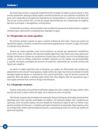 56
Unidade I
Na maioria dos animais, a respiração é dependente da circulação. O oxigênio é pouco solúvel, e raros
animais apresentam dissolução desse oxigênio correndo livremente em seus sistemas circulatórios. Em
geral, ocorre dependência de pigmentos respiratórios ou transportadores, e o primeiro nome deriva do
fato de que muitos animais têm a cor de seu sangue determinada por seu transportador de oxigênio.
São dois os principais: a hemoglobina e a hemocianina.
Conhecendo as variáveis, vamos entender como os diferentes grupos de animais extraem o oxigênio
necessário para sobreviverem, começando pela respiração na água.
4.1 Respiração em meio aquático
Os primeiros animais surgiram na água e durante milhares de anos toda a fauna que existia era
igualmente aquática. Portanto, os primeiros mecanismos respiratórios se iniciaram na água. Eles foram
e ainda são muito eficientes.
Animais de corpos reduzidos, como microcrustáceos, ou aqueles que apresentam metabolismo
muito lento, como os cnidários, não denotam regiões específicas, logo fazem suas trocas apenas por
difusão. Animais que utilizam seu revestimento corporal para tal função, como os invertebrados aqui
citados, ou ainda os anfíbios, evidenciam umidade constante em tais regiões, alta permeabilidade
e, quando necessário, estratégias de aumento de superfície, objetivando que as áreas centrais não
fiquem sem oxigênio.
Em geral, os órgãos específicos são as brânquias, que podem ser diferenciadas dos pulmões por
apresentarem como área de trocas gasosas a região externa do órgão. Sua estrutura consiste em tecido
lamelado repleto de dobras e é revestido de uma cutícula permeável, o que lhe permite aumento de
superfície. Além das dobras, a brânquia pode contar com cílios, flagelos, além de musculatura suja, e
essa ligação promove fluxo contínuo de água nas brânquias.
4.1.1 Respiração em peixes
Existem ainda peixes com pulmões modificados capazes de extrair oxigênio da água; porém, como
sua face de troca é a parte interna do órgão, ele se caracteriza como um pulmão.
Sem dúvida, os peixes são exemplares em respiração. Possuem brânquias otimizadas, extremamente
adaptadas para obter grandes quantidades de oxigênio. As brânquias podem estar recobertas por
opérculos, como nos peixes ósseos, estrutura dotada de musculatura capaz de abrir ou fechar, o que
garante proteção às brânquias – e também participam ativamente da respiração. Alguns peixes, como
os cartilaginosos, exibem apenas fendas branquiais, e suas brânquias ficam no interior de regiões em
geral mais expostas.
 