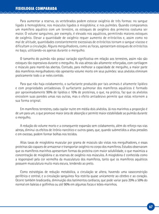 67
FISIOLOGIA COMPARADA
Para aumentar a reserva, os vertebrados podem estocar oxigênio de três formas: no sangue
ligado à hemoglobina; nos músculos ligados à mioglobina; e nos pulmões. Quando comparamos
um mamífero aquático com um terrestre, os estoques de oxigênio dos primeiros costuma ser
maior. O volume sanguíneo, por exemplo, é elevado nos aquáticos, permitindo maiores estoques
de oxigênio. Elevar a quantidade de oxigênio requer aumento de eritrócitos e, assim como no
mal de altitude, quantidades constantemente excessivas de eritrócitos tornam o sangue viscoso e
dificultam a circulação. Alguns mergulhadores, como as focas, apresentam estoques de eritrócitos
no baço, utilizando-os apenas durante o mergulho.
O tamanho do pulmão não possui variação significativa em relação aos terrestres, assim não são
estoques tão expressivos durante o mergulho. As vias aéreas são altamente reforçadas, com cartilagem
e músculo para mantê-las abertas. Contudo, para melhorar a capacidade de mergulho, a maior parte
dos mamíferos mergulhadores não apresenta volume morto em seus pulmões: seus alvéolos eliminam
praticamente todo o ar neles contido.
Para que não haja colabamento, o surfactante produzido por tais animais é altamente lipídico
e com propriedades antiadesivas. O surfactante pulmonar dos mamíferos aquáticos é formado
por aproximadamente 90% de lipídios e 10% de proteínas, o que, na prática, faz que os alvéolos
encostem suas paredes umas nas outras, mas o efeito antiadesivo permite que estas retornem a
sua forma original.
Em mamíferos terrestres, cada capilar nutre em média dois alvéolos. Já nos marinhos a proporção é
de um para um, o que promove maior área de absorção e permite maior estabilidade ao pulmão durante
o mergulho.
A redução do volume morto e a consequente expansão sem colabamento, além do reforço nas vias
aéreas, diminui os efeitos de itrônio narcótico e outros gases, que, quando submetidos a altas pressões
e em excesso, podem formar bolhas nos tecidos.
Altas taxas de mioglobina muscular por grama de músculo são vistas nos mergulhadores, e essas
proteínas são capazes de armazenar e transportar oxigênio no corpo dos mamíferos. Estudos observaram
que os mamíferos marinhos apresentam formas da proteína com maior solubilidade, o que maximiza a
concentração de mioglobina e as reservas de oxigênio nos músculos. A mioglobina é conhecida como
a responsável pela cor vermelha da musculatura dos mamíferos, tanto que os mamíferos aquáticos
possuem musculatura muito mais escura, tendendo ao preto.
Como estratégias de redução metabólica, a circulação se altera, havendo uma vasoconstrição
periférica e central, e a circulação sanguínea fica restrita quase unicamente ao cérebro e ao coração.
Ocorre também bradicardia, diminuição dos batimentos cardíacos, que pode variar para 20% a 50% do
normal em baleias e golfinhos ou até 90% em algumas focas e leões-marinhos.
 