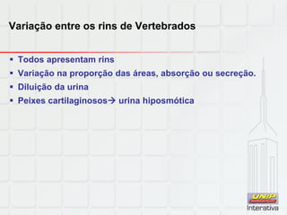 Variação entre os rins de Vertebrados
 Todos apresentam rins
 Variação na proporção das áreas, absorção ou secreção.
 Diluição da urina
 Peixes cartilaginosos urina hiposmótica
 