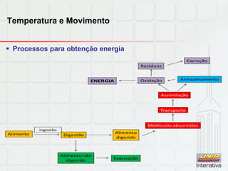 Temperatura e Movimento
 Processos para obtenção energia
 