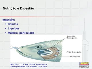 Nutrição e Digestão
Ingestão:
 Sólidos
 Líquidos
 Material particulado
MOYES C. D.; SCHULTE P. M. Princípios de
Fisiologia Animal. 2ª e. Artmed. 792p. 2010.
 
