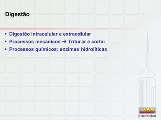 Digestão
 Digestão intracelular e extracelular
 Processos mecânicos  Triturar e cortar
 Processos químicos: enzimas hidrolíticas
 